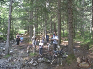 Passeggiata nel bosco con gli amici o la famiglia 